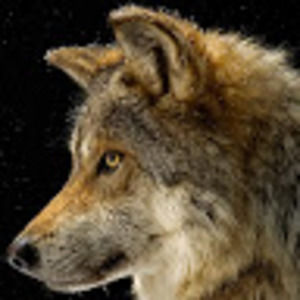 Meet your Posher, Diego rey